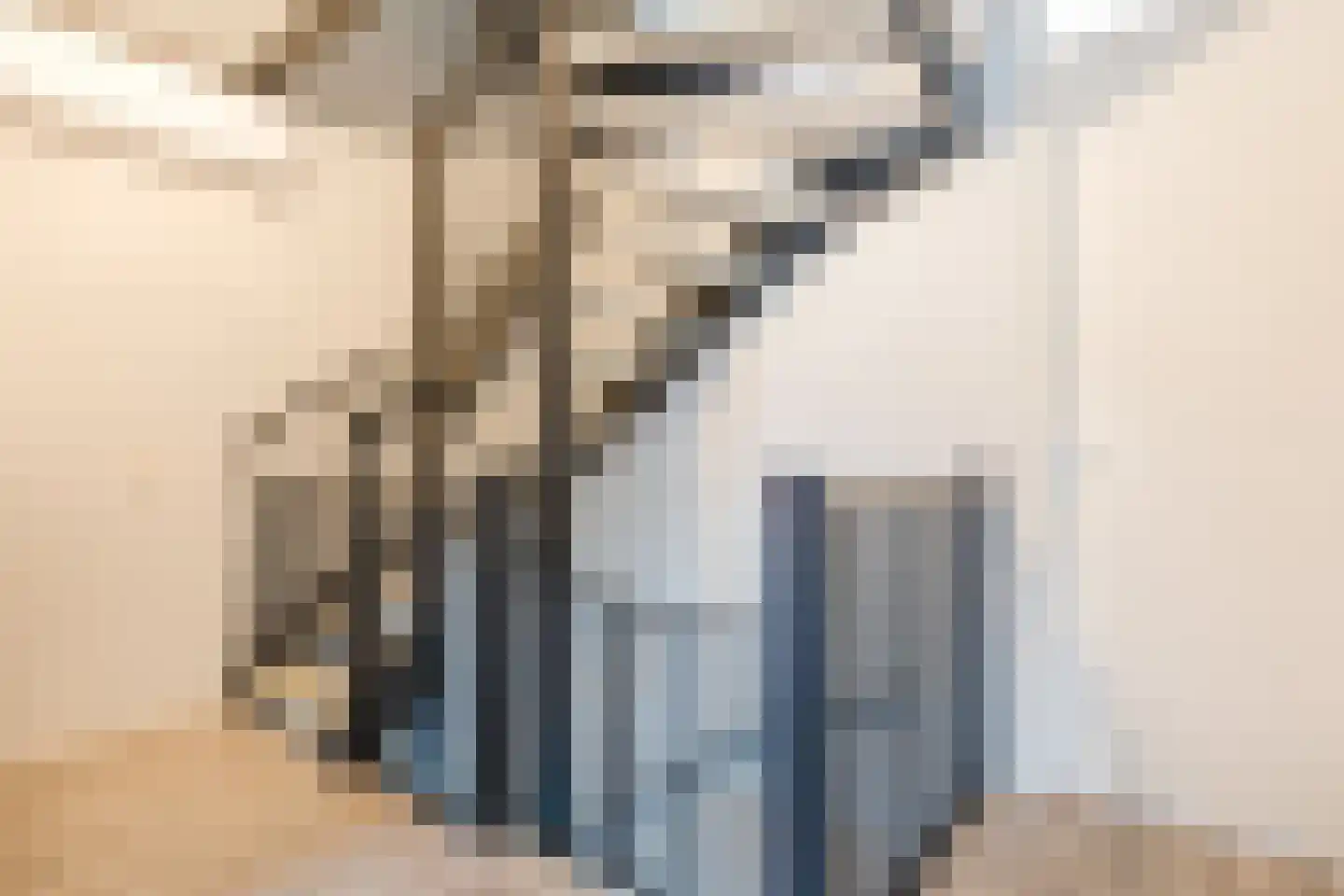 De Poste 40 Hollandscheveld thumbnail 38