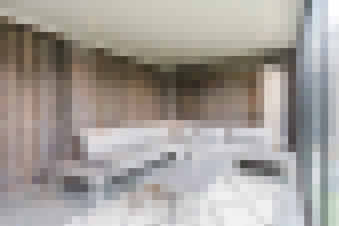 De Poste 40 Hollandscheveld thumbnail 44