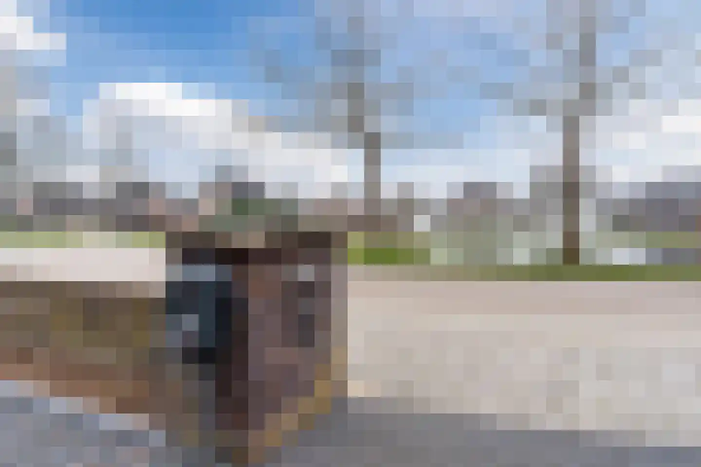 De Poste 40 Hollandscheveld thumbnail 6