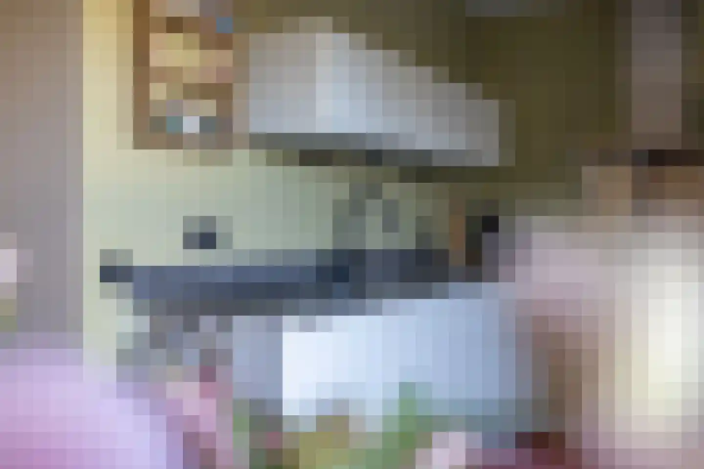 De Poste 9 Hollandscheveld thumbnail 10