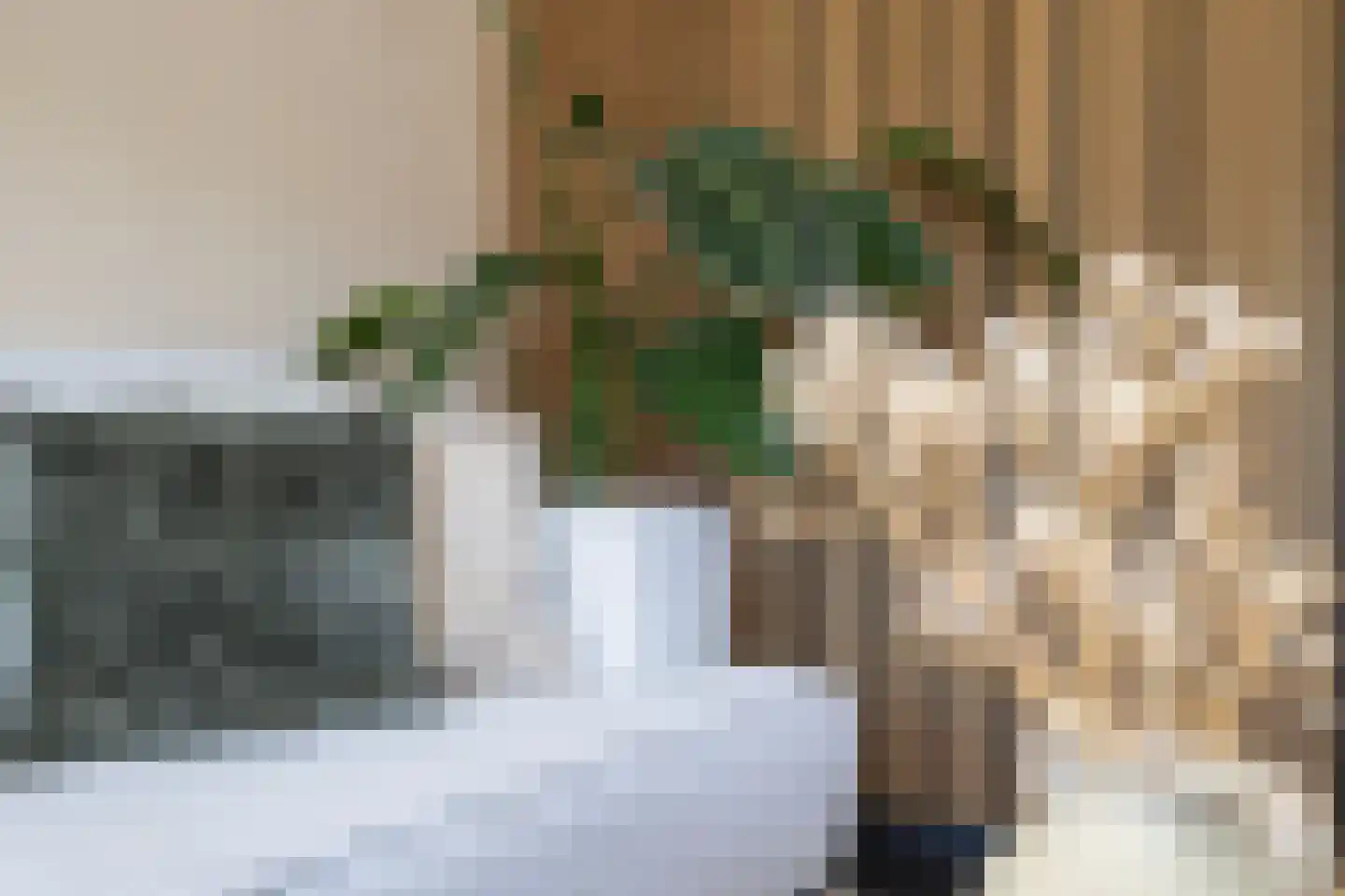 De Poste 9 Hollandscheveld thumbnail 13