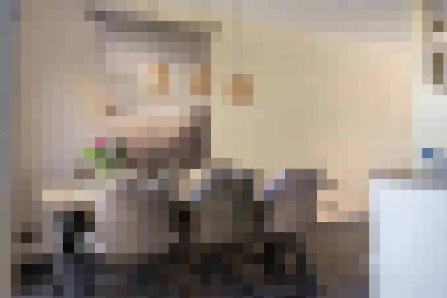 De Poste 9 Hollandscheveld thumbnail 14