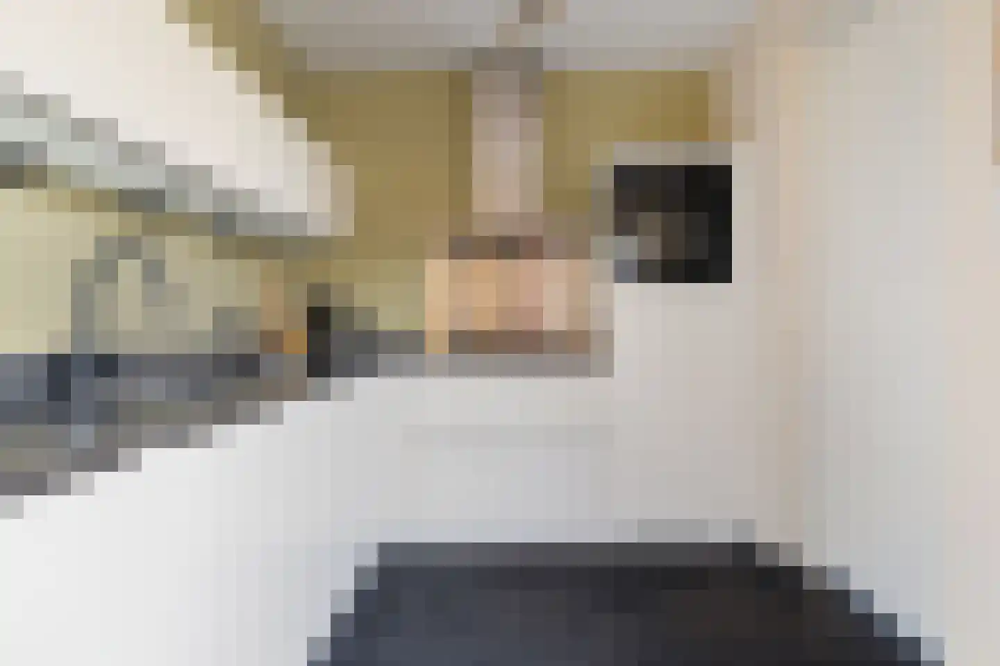 De Poste 9 Hollandscheveld thumbnail 16