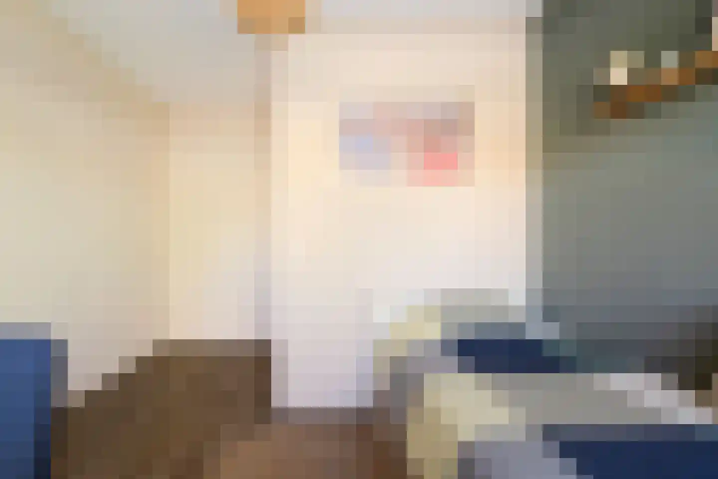 De Poste 9 Hollandscheveld thumbnail 22