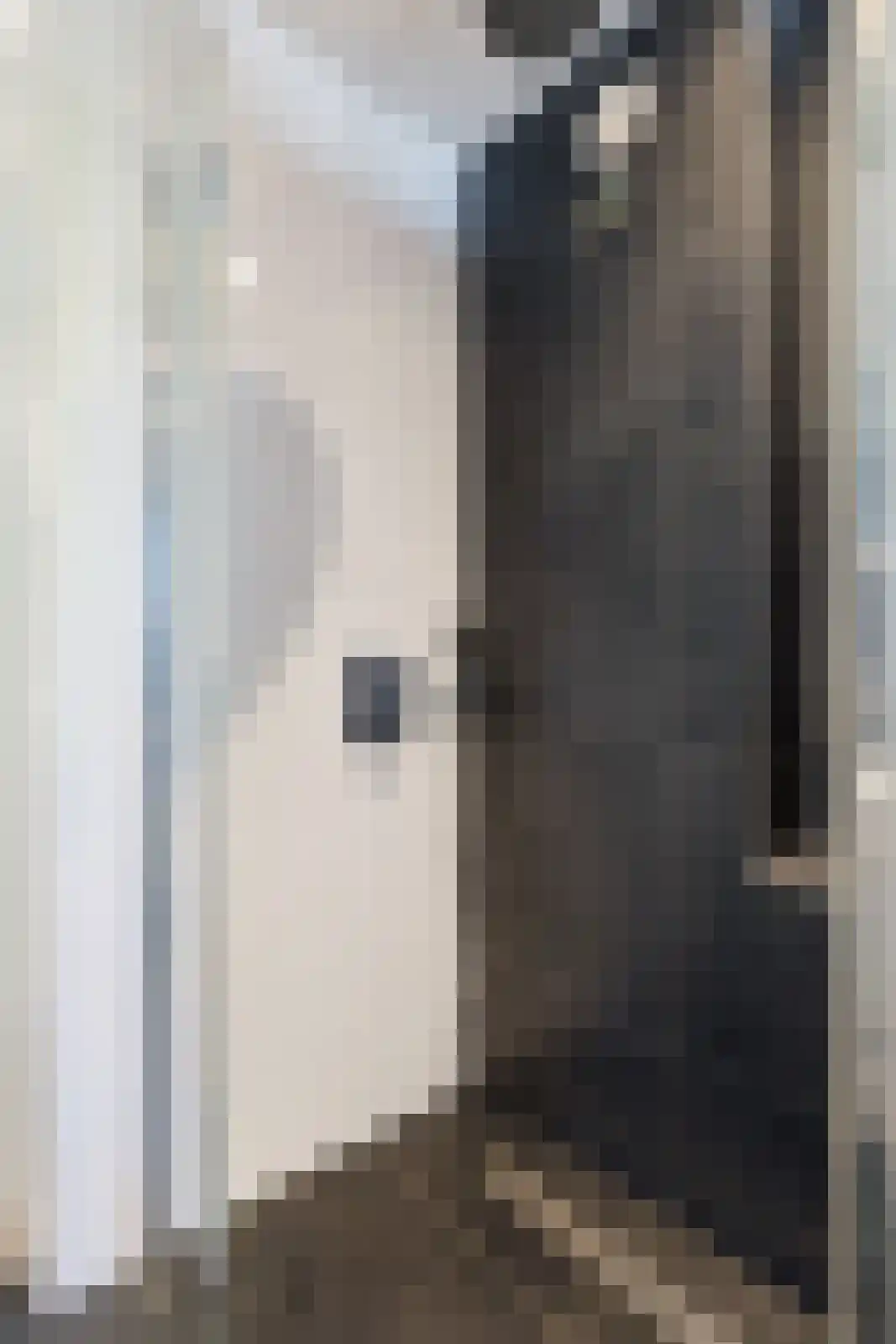 De Poste 9 Hollandscheveld thumbnail 30