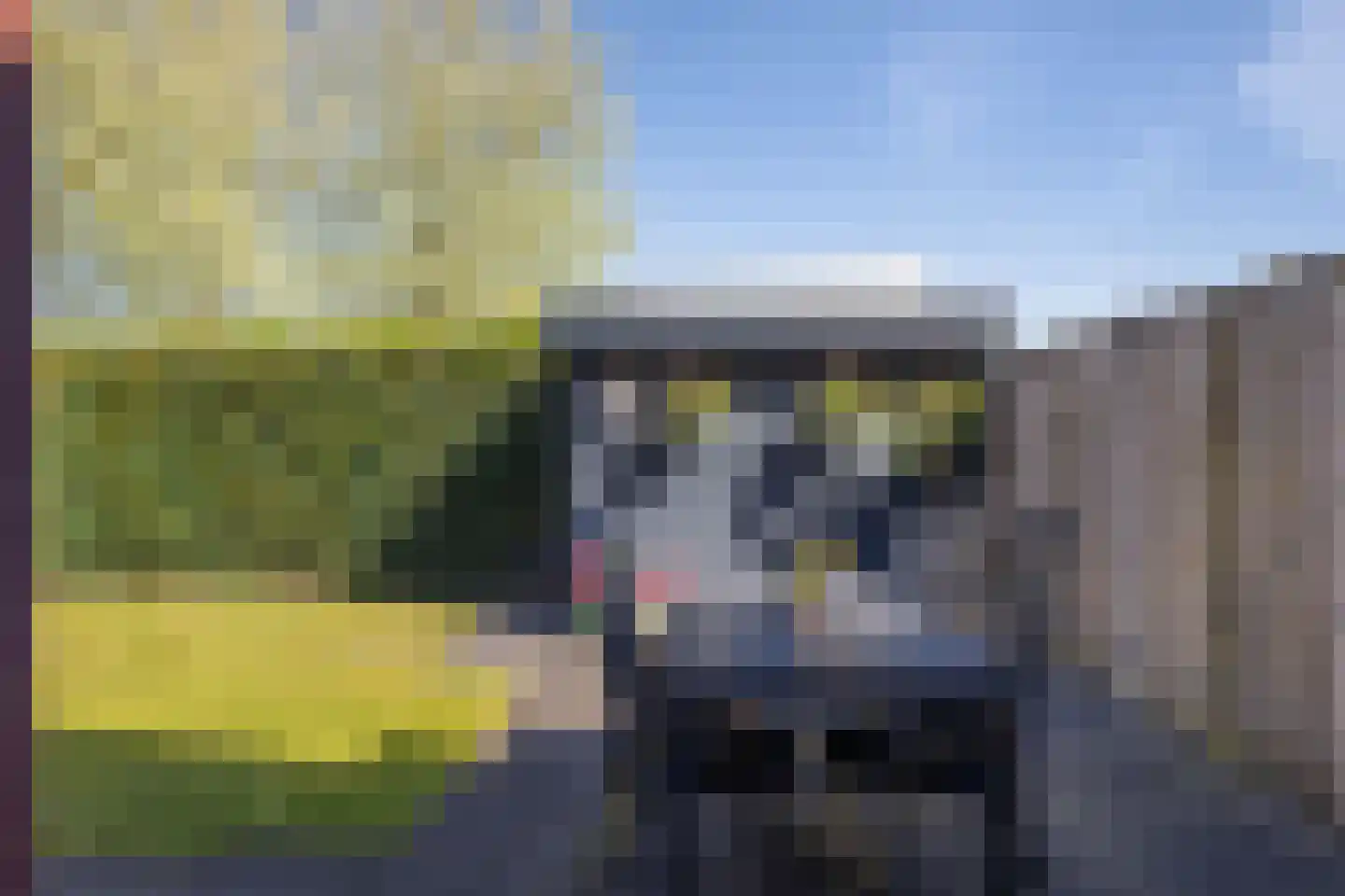 De Poste 9 Hollandscheveld thumbnail 34