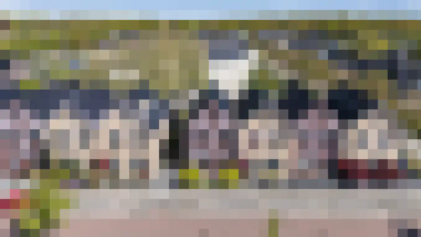 De Poste 9 Hollandscheveld thumbnail 46