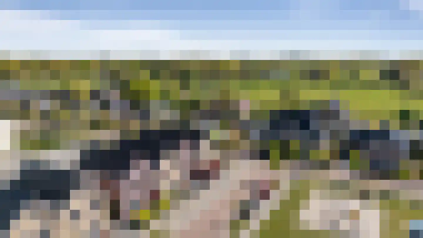 De Poste 9 Hollandscheveld thumbnail 47