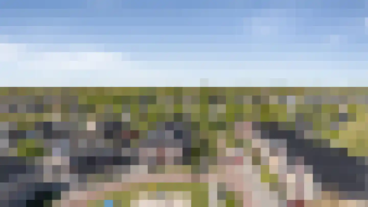 De Poste 9 Hollandscheveld thumbnail 48