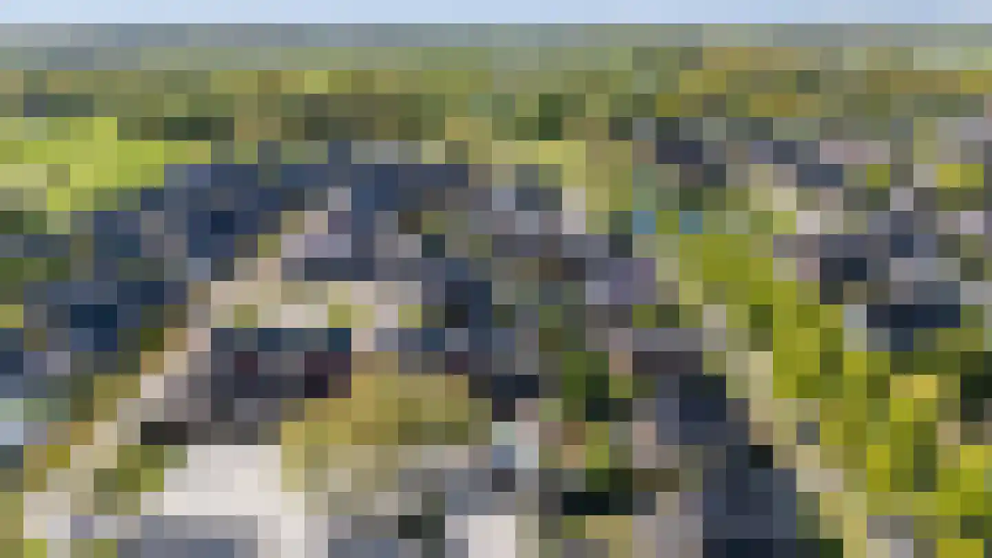 De Poste 9 Hollandscheveld thumbnail 50