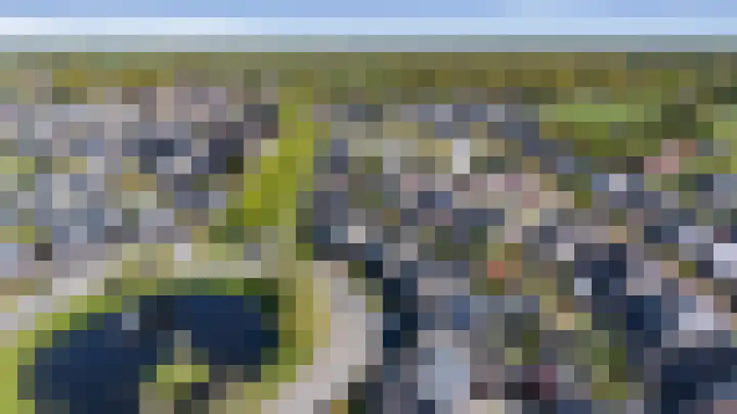 De Poste 9 Hollandscheveld thumbnail 51