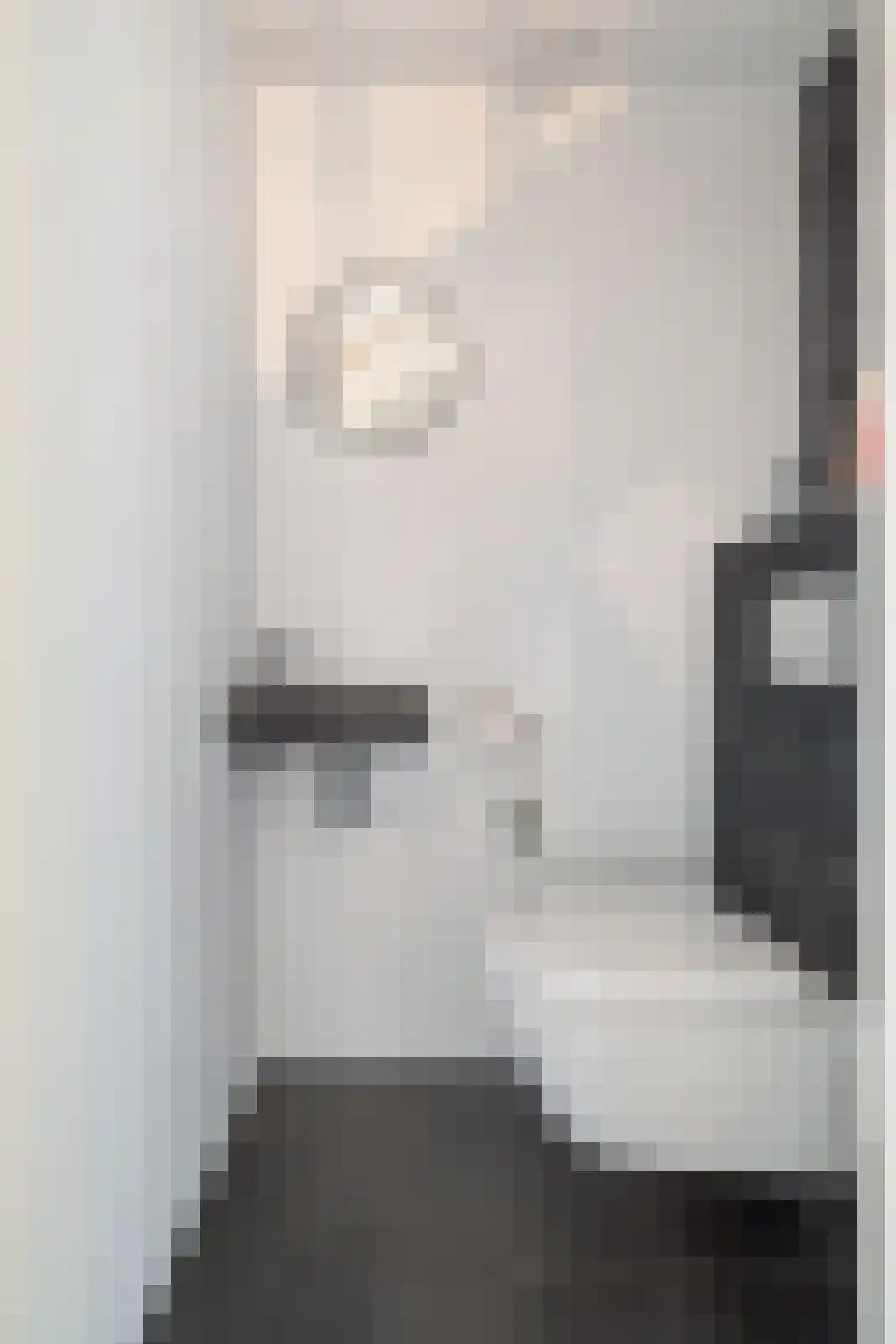 De Poste 9 Hollandscheveld thumbnail 8