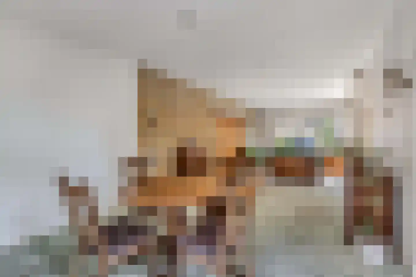 De Posten 22 Drachten thumbnail 10