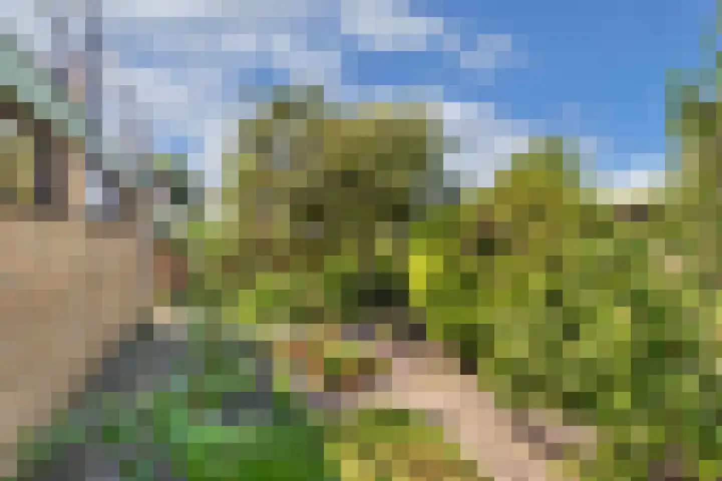 De Posten 22 Drachten thumbnail 27