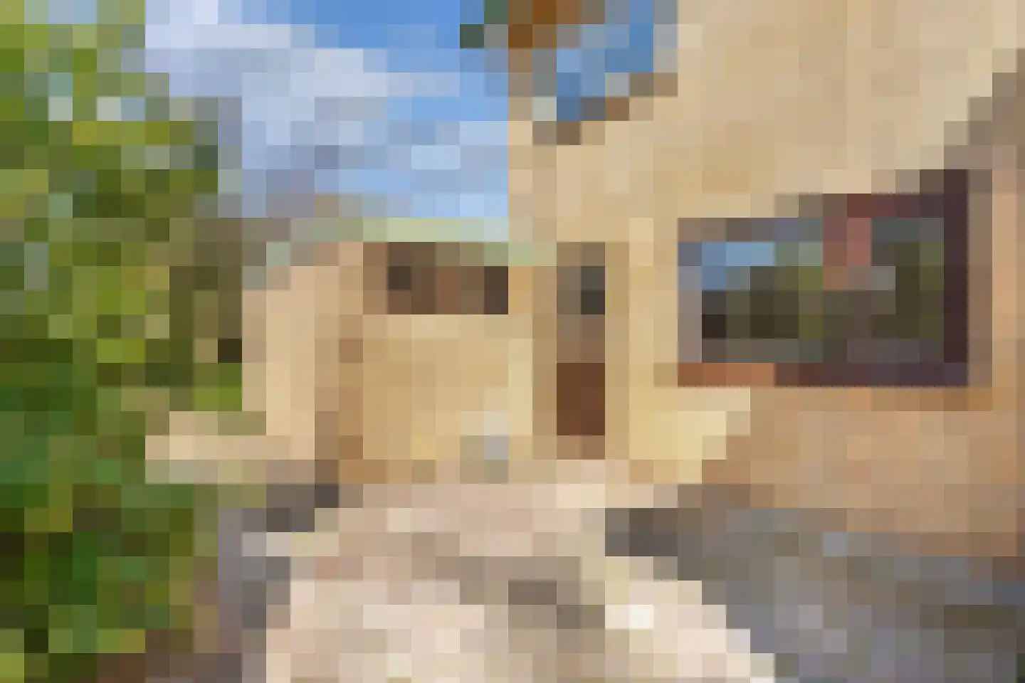 De Posten 22 Drachten thumbnail 28