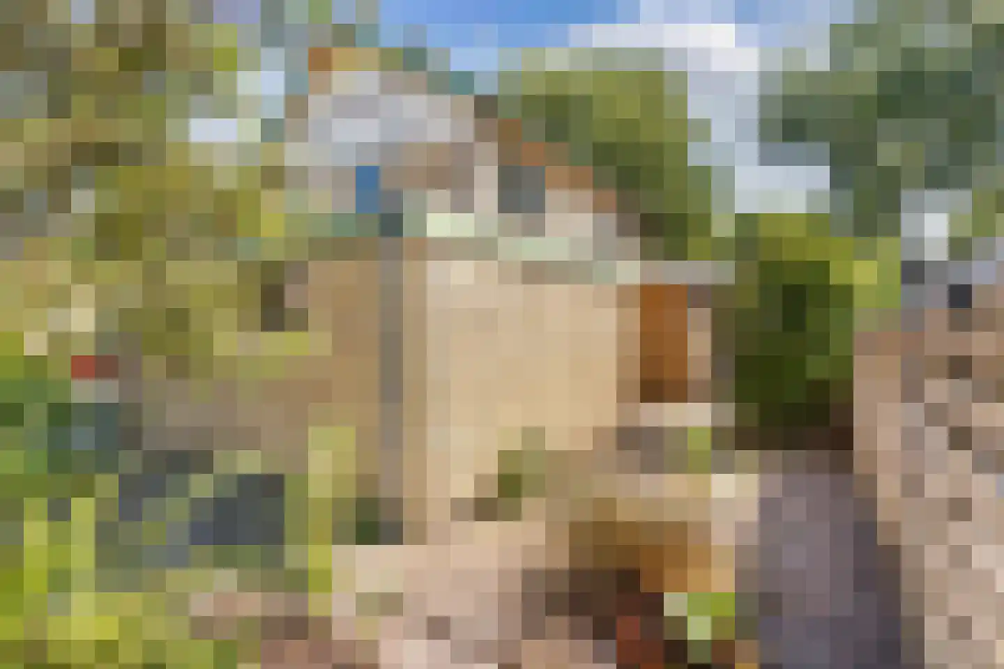 De Posten 22 Drachten thumbnail 30