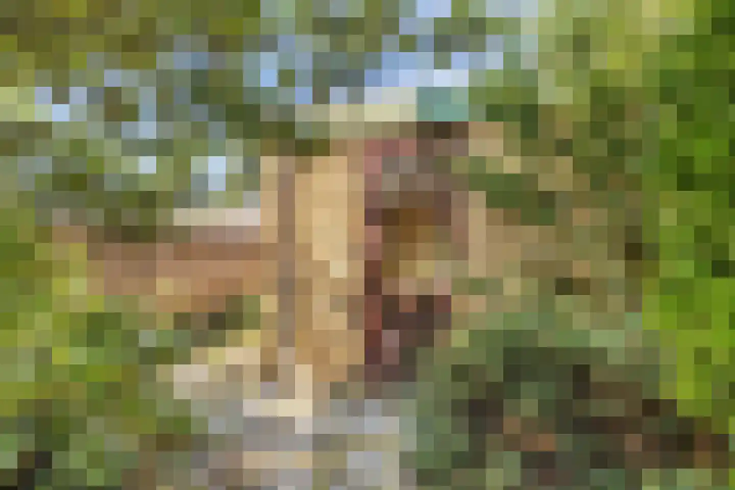 De Posten 22 Drachten thumbnail 31