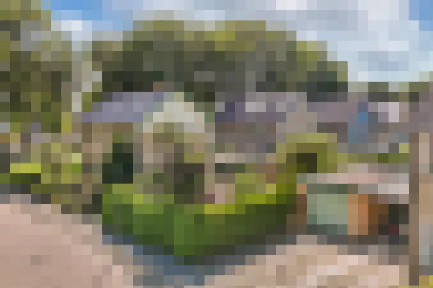 De Posten 22 Drachten thumbnail 32