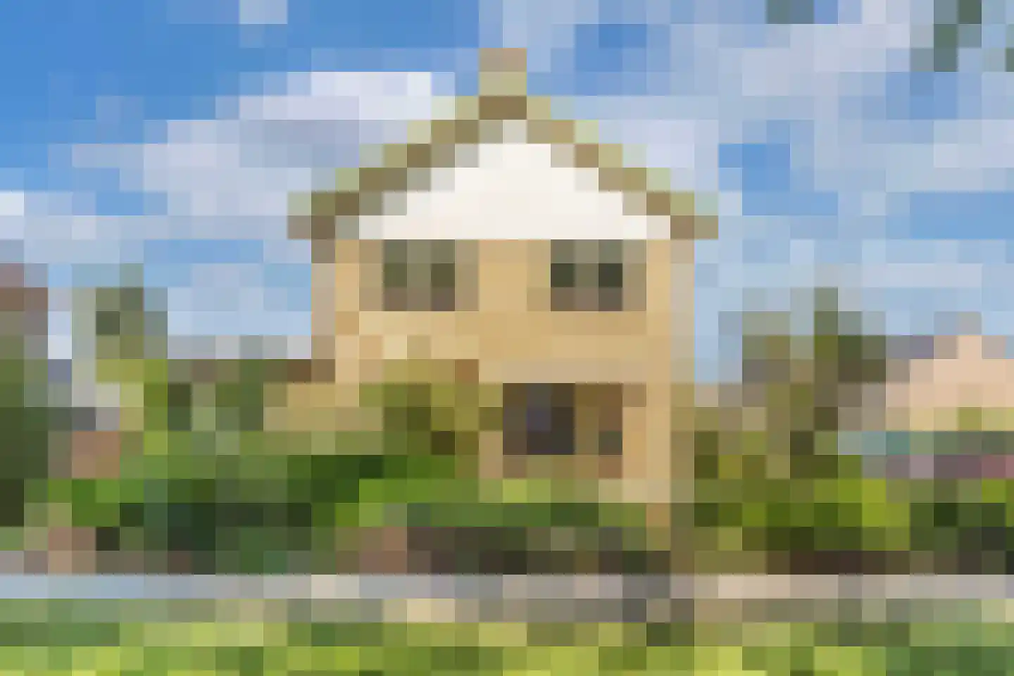 De Posten 22 Drachten thumbnail 36