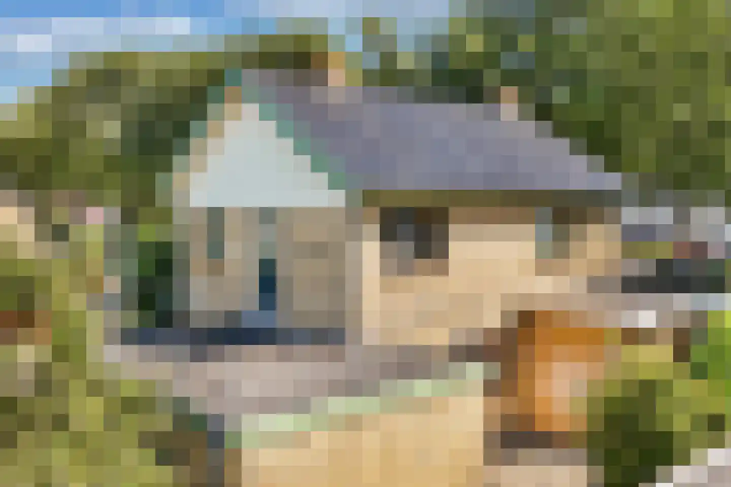 De Posten 22 Drachten thumbnail 37