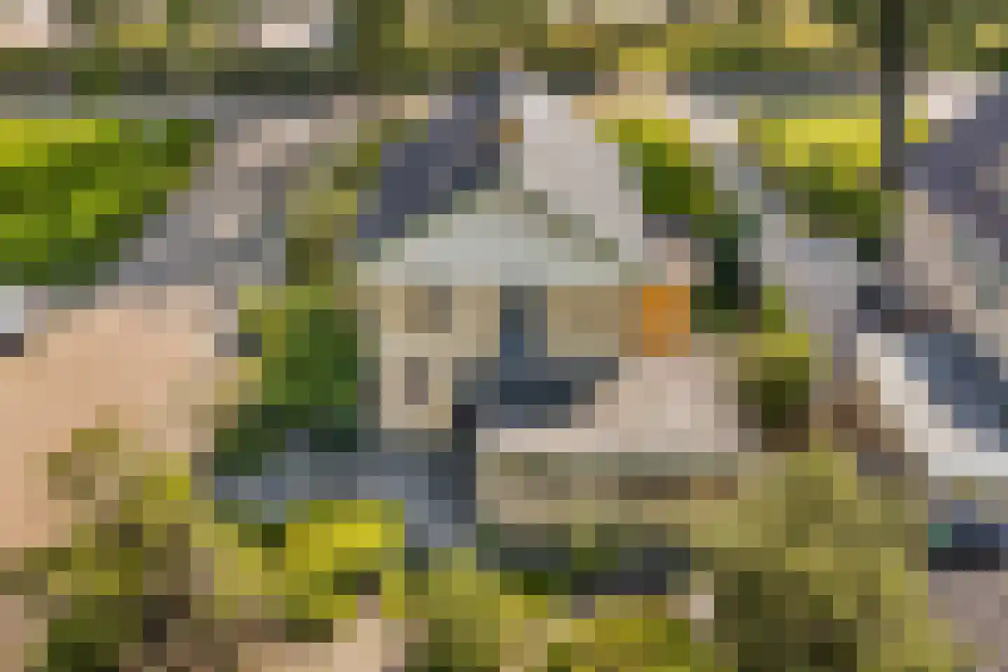 De Posten 22 Drachten thumbnail 45