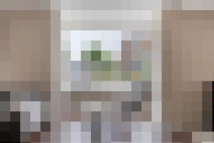 De Posten 36 Tuitjenhorn thumbnail 10