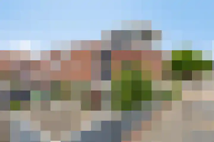 De Posten 36 Tuitjenhorn thumbnail 20