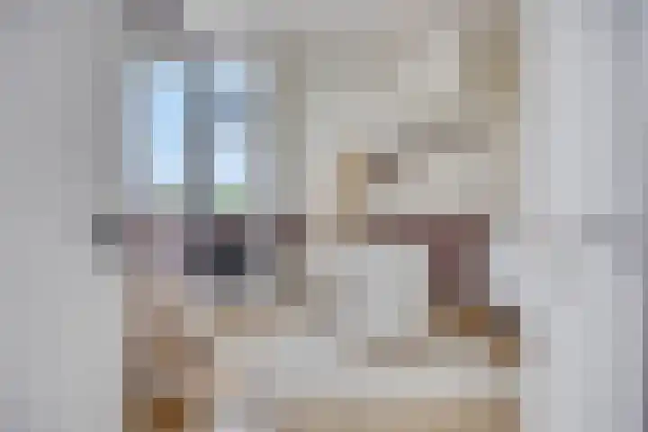 De Posten 36 Tuitjenhorn thumbnail 26