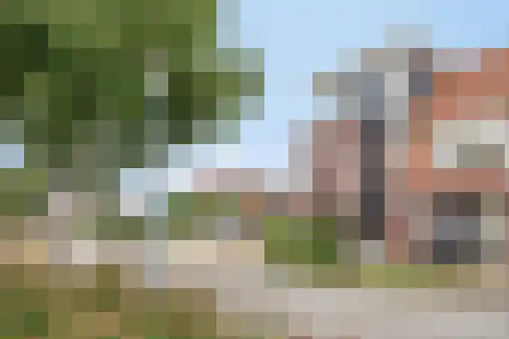 De Posten 36 Tuitjenhorn thumbnail 33
