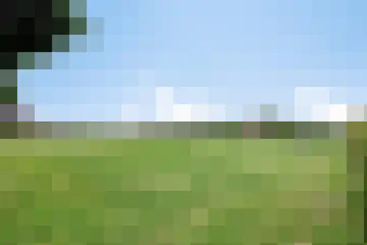 De Posten 36 Tuitjenhorn thumbnail 34