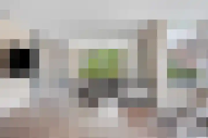 De Posten 36 Tuitjenhorn thumbnail 6