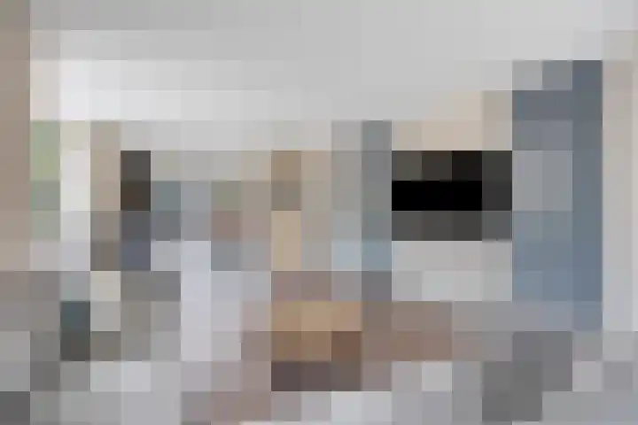 De Posten 36 Tuitjenhorn thumbnail 8
