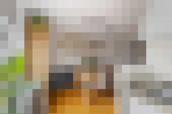De Posten 46 Tuitjenhorn thumbnail 10