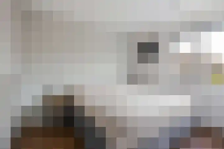 De Posten 46 Tuitjenhorn thumbnail 12