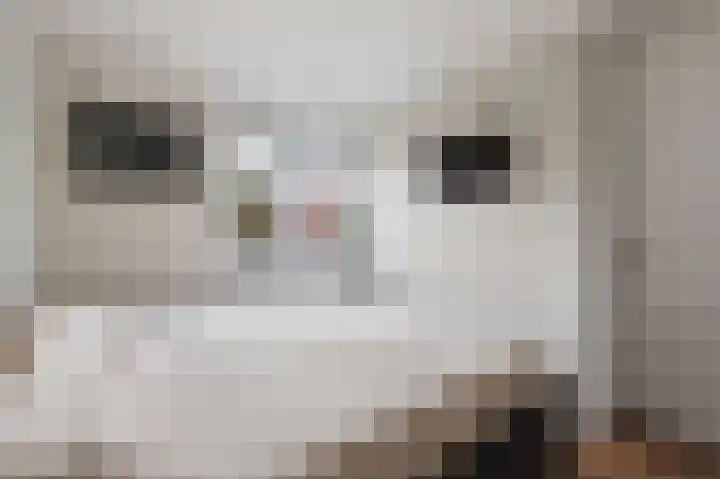 De Posten 46 Tuitjenhorn thumbnail 13