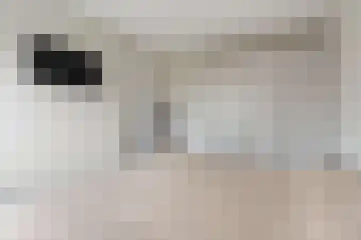 De Posten 46 Tuitjenhorn thumbnail 14
