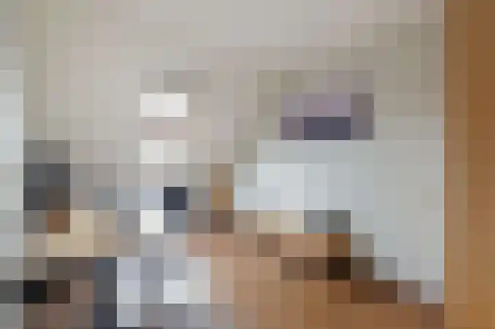 De Posten 46 Tuitjenhorn thumbnail 15