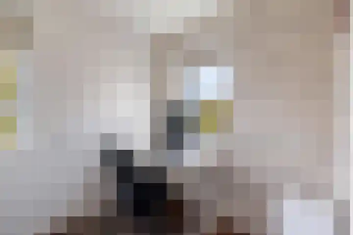 De Posten 46 Tuitjenhorn thumbnail 16