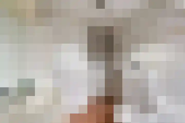 De Posten 46 Tuitjenhorn thumbnail 18