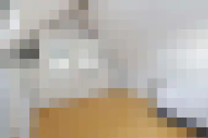 De Posten 46 Tuitjenhorn thumbnail 19