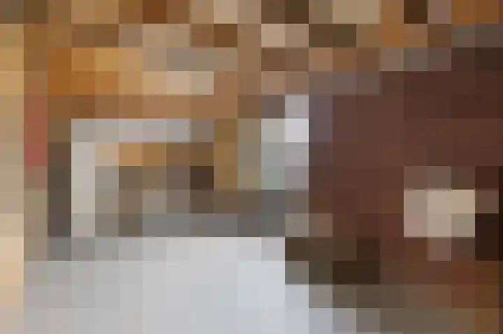 De Posten 46 Tuitjenhorn thumbnail 20