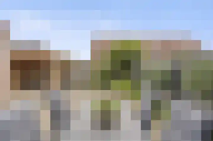 De Posten 46 Tuitjenhorn thumbnail 23