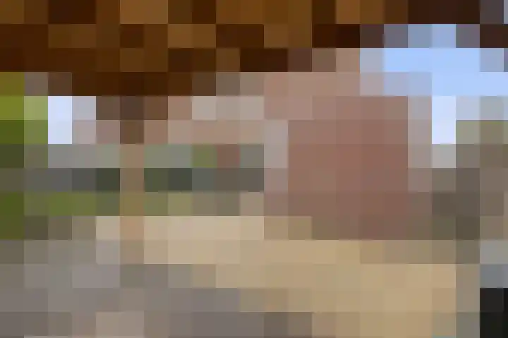 De Posten 46 Tuitjenhorn thumbnail 26
