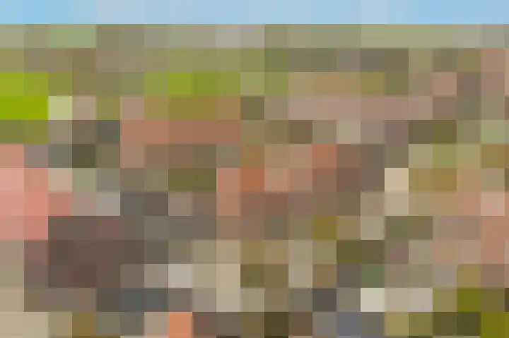 De Posten 46 Tuitjenhorn thumbnail 28