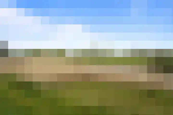 De Posten 46 Tuitjenhorn thumbnail 29