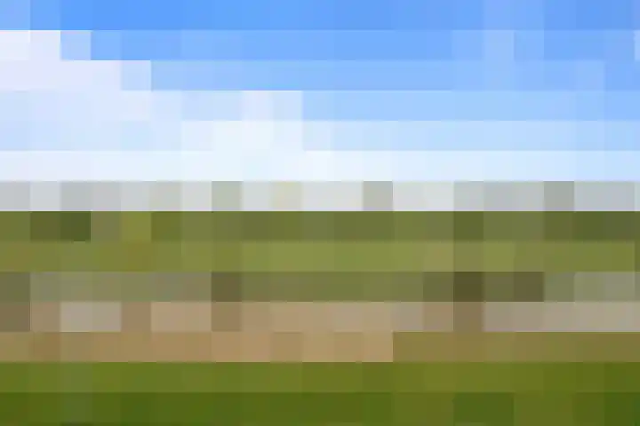 De Posten 46 Tuitjenhorn thumbnail 30