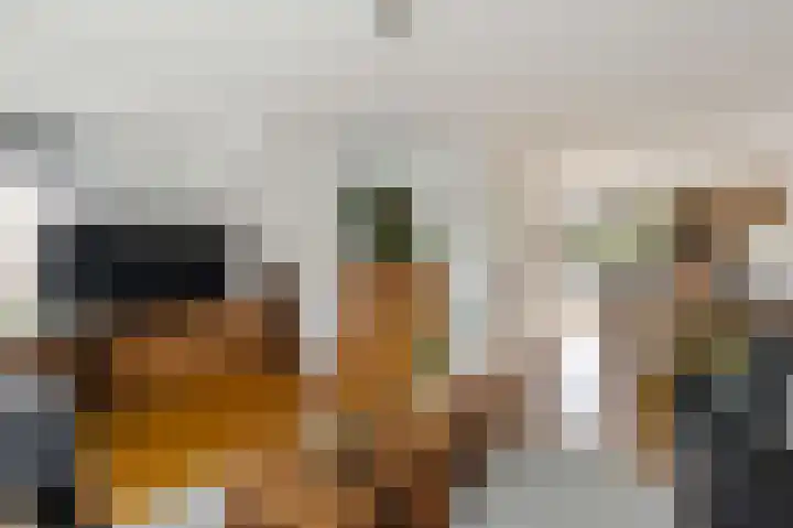 De Posten 46 Tuitjenhorn thumbnail 6