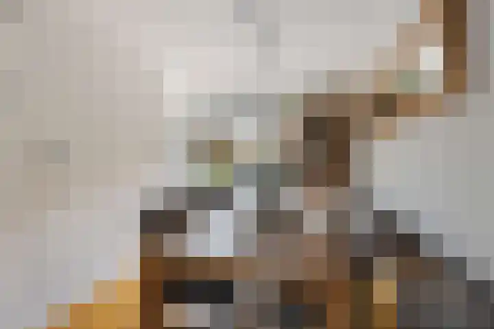 De Posten 46 Tuitjenhorn thumbnail 7