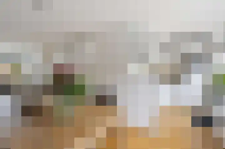 De Posten 46 Tuitjenhorn thumbnail 8