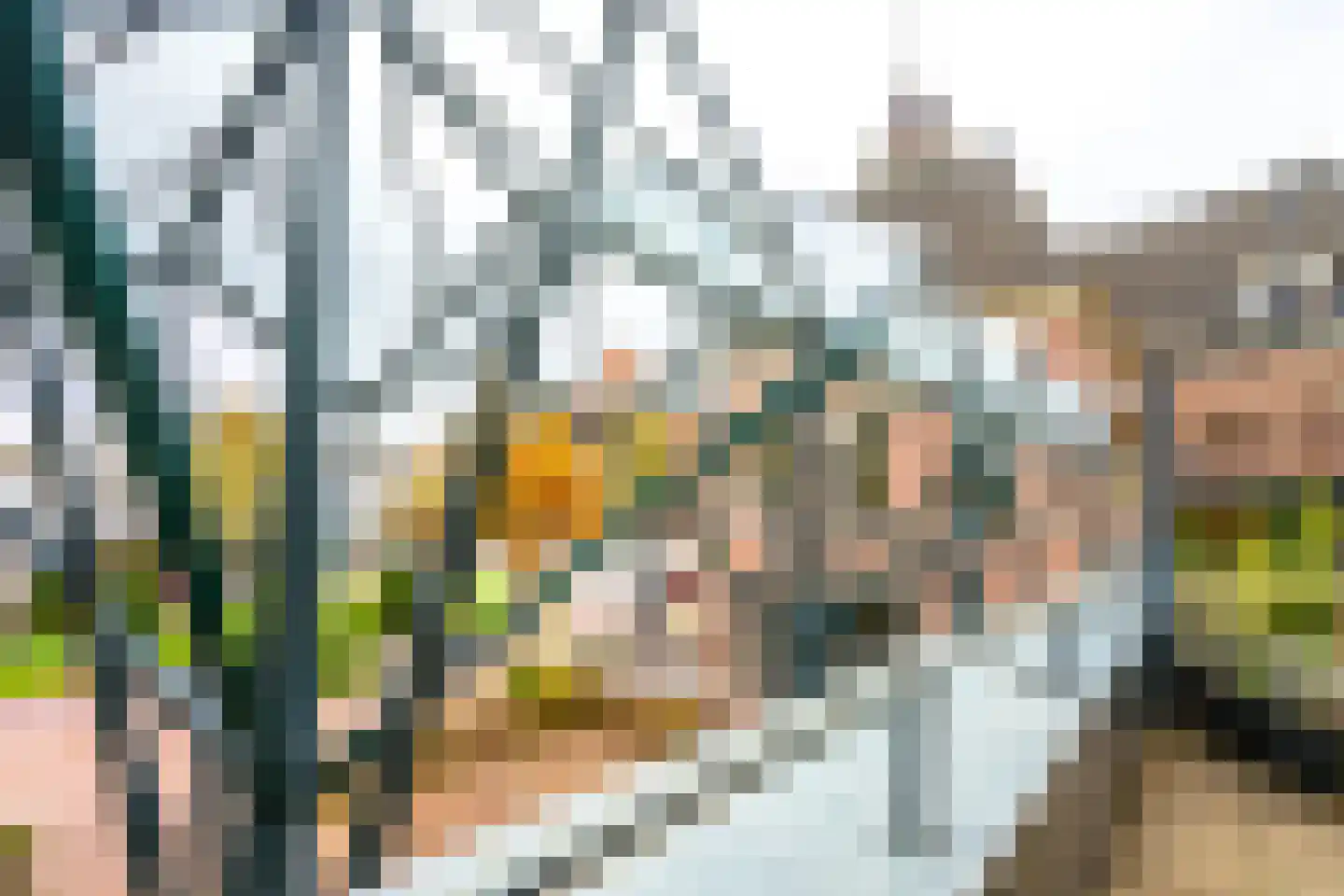 De Posterij 5 Zeist thumbnail 18
